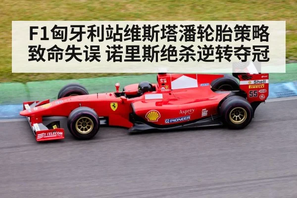 F1匈牙利站维斯塔潘轮胎策略致命失误 诺里斯绝杀逆转夺冠