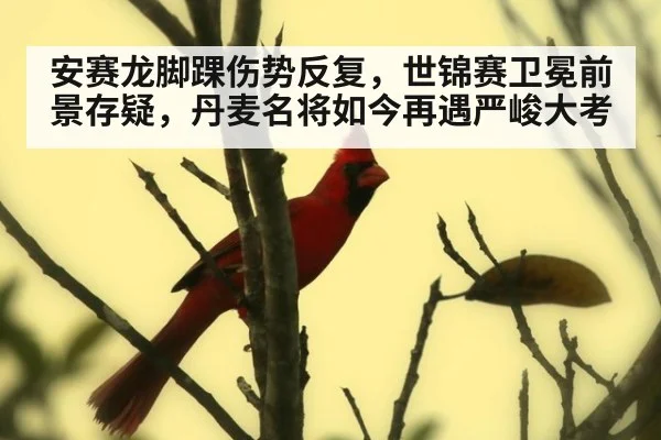 安赛龙脚踝伤势反复，世锦赛卫冕前景存疑，丹麦名将如今再遇严峻大考